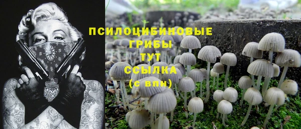 не бодяженный Арсеньев