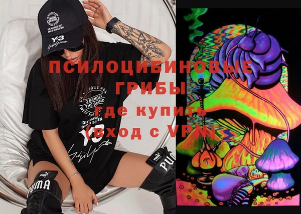 не бодяженный Арсеньев