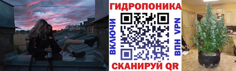 Каннабис OG Kush Междуреченск